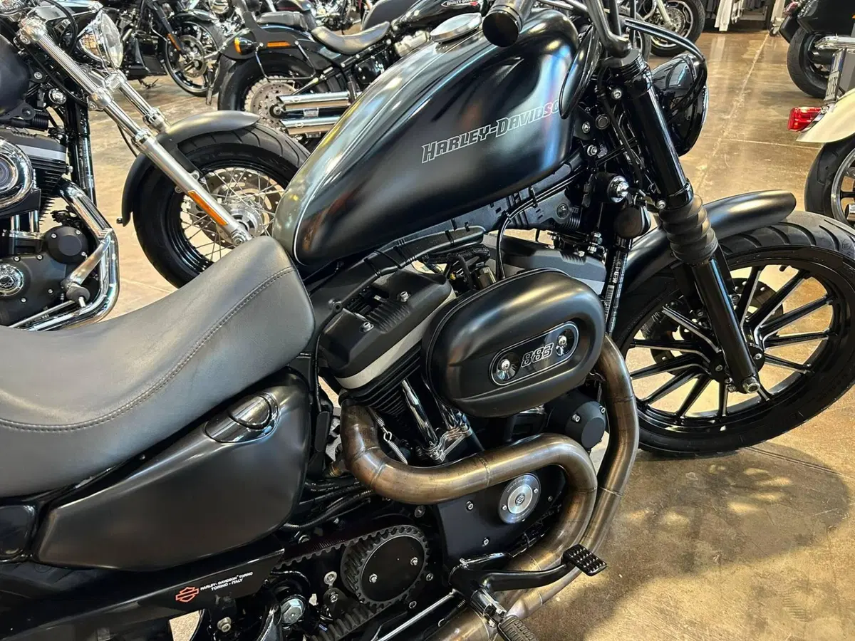 Harley-Davidson 883 Iron (2009 - 11) - XL 883N (9)