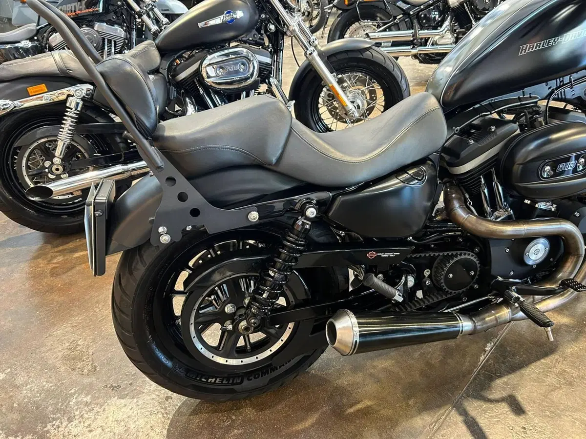 Harley-Davidson 883 Iron (2009 - 11) - XL 883N (10)