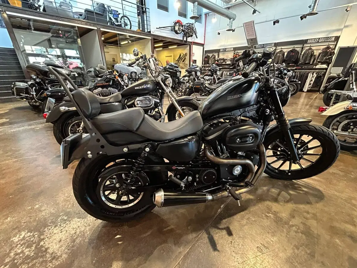 Harley-Davidson 883 Iron (2009 - 11) - XL 883N (11)