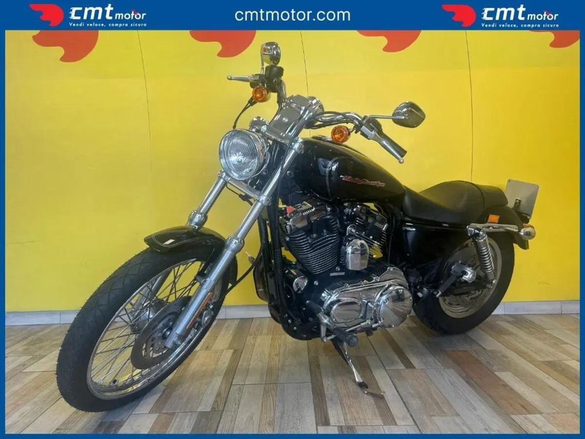 Harley-Davidson 1200 Custom (2004 - 06) - XL 1200C (2)