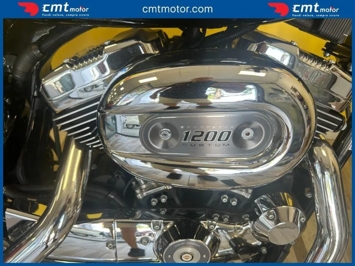 Harley-Davidson 1200 Custom (2004 - 06) - XL 1200C (12)