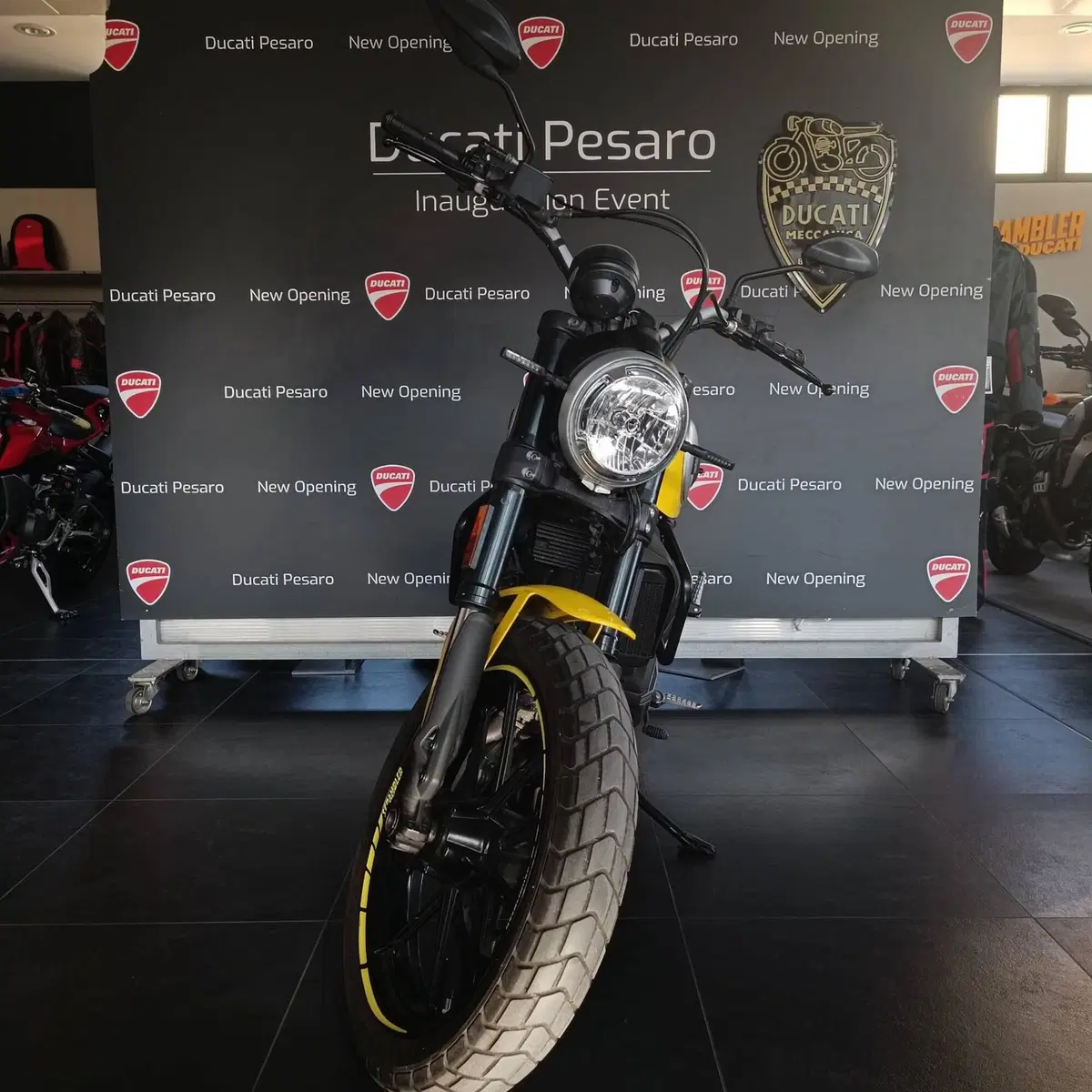 Ducati Scrambler 800 Icon (2017 - 20) (7)