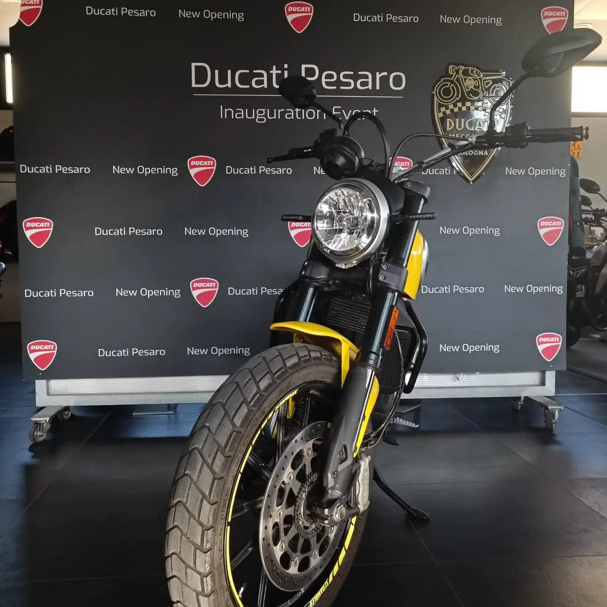 Ducati Scrambler 800 Icon (2017 - 20) (8)