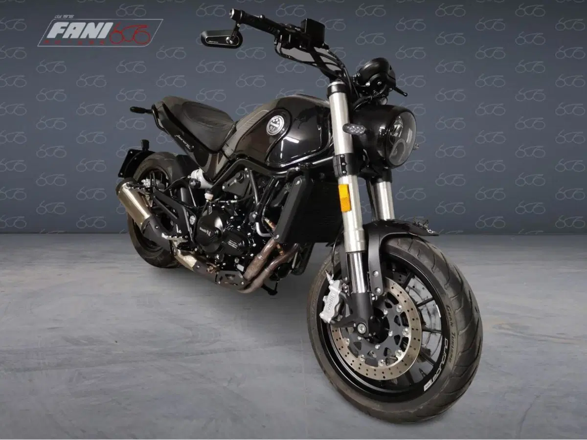 Benelli Leoncino 500 (2021 - 25) (2)