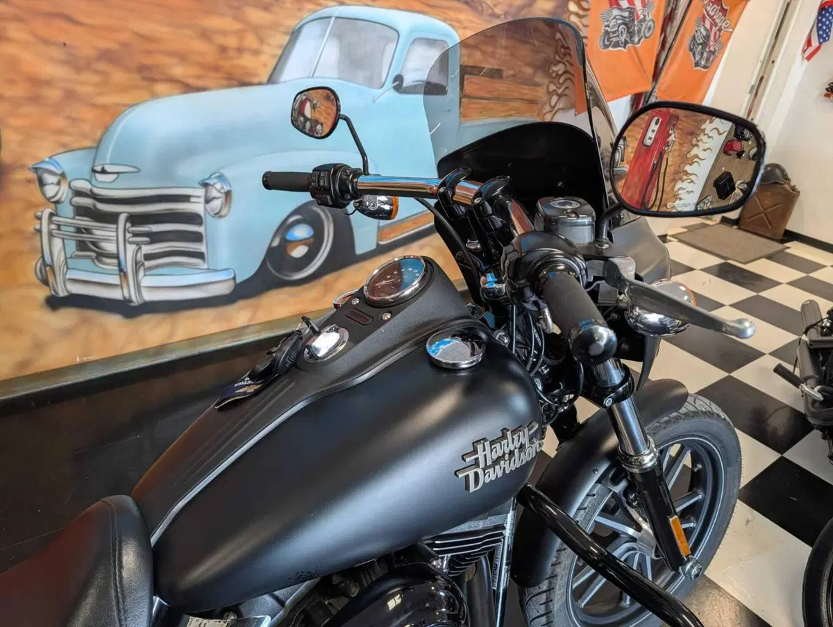 Harley-Davidson 1690 Street Bob Special (2015 - 16) - FXDB (9)