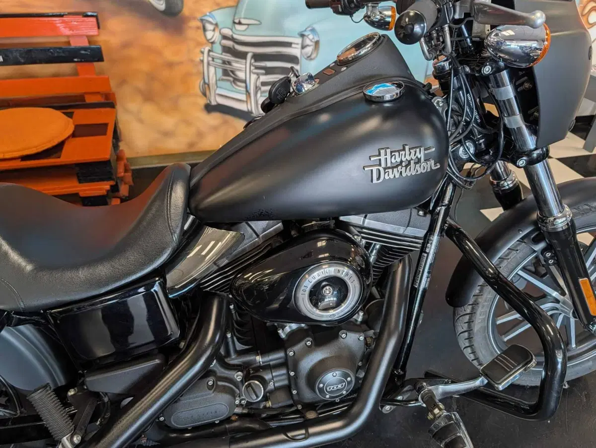Harley-Davidson 1690 Street Bob Special (2015 - 16) - FXDB (10)