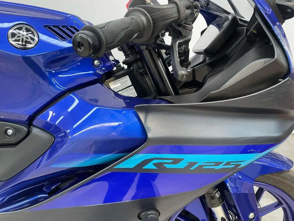 Yamaha YZF R125 (2023 - 26) (2)