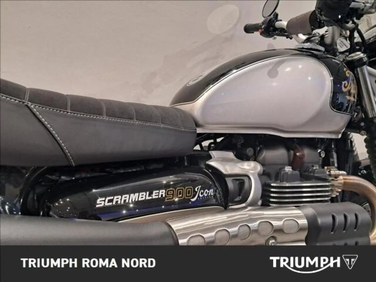 Triumph Scrambler 900 Icon Edition (2025 - 26) (5)