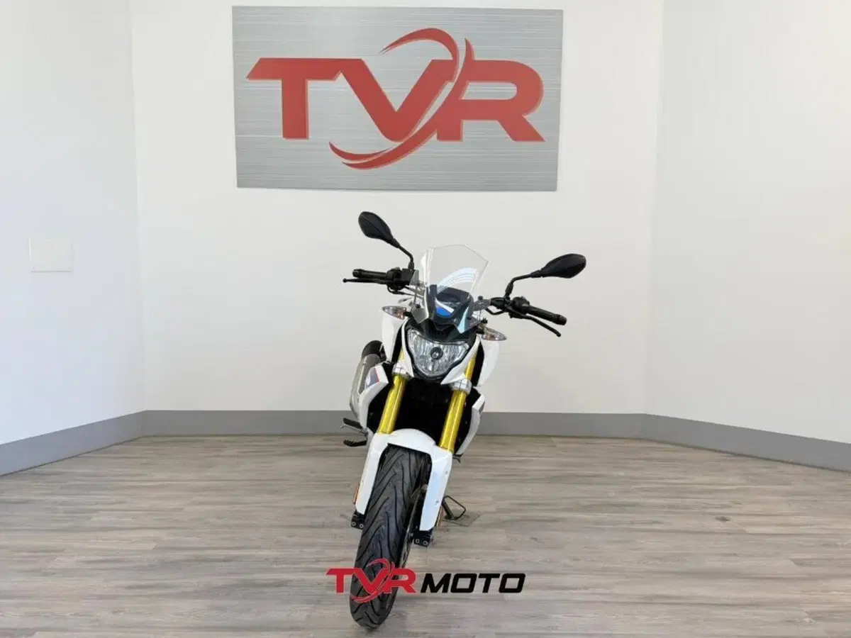 Bmw G 310 GS (2017 - 20) (3)