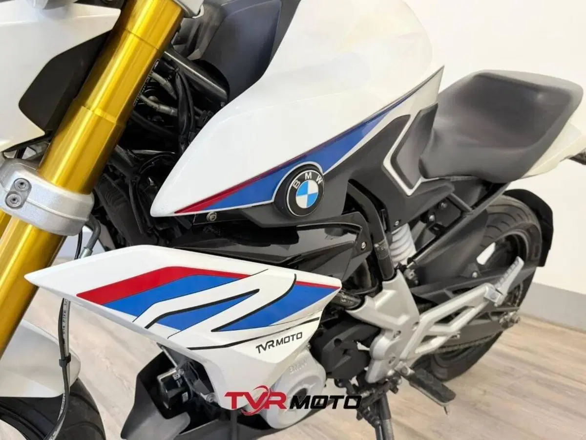 Bmw G 310 GS (2017 - 20) (9)