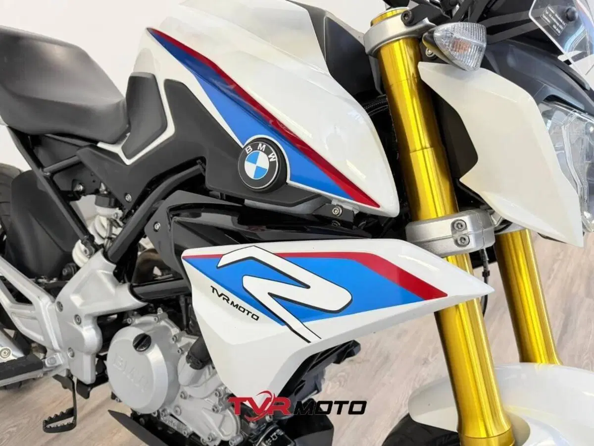 Bmw G 310 GS (2017 - 20) (7)