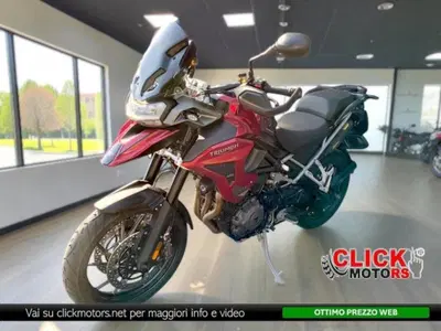Triumph Tiger 1200 GT Pro (2024 - 26) usata