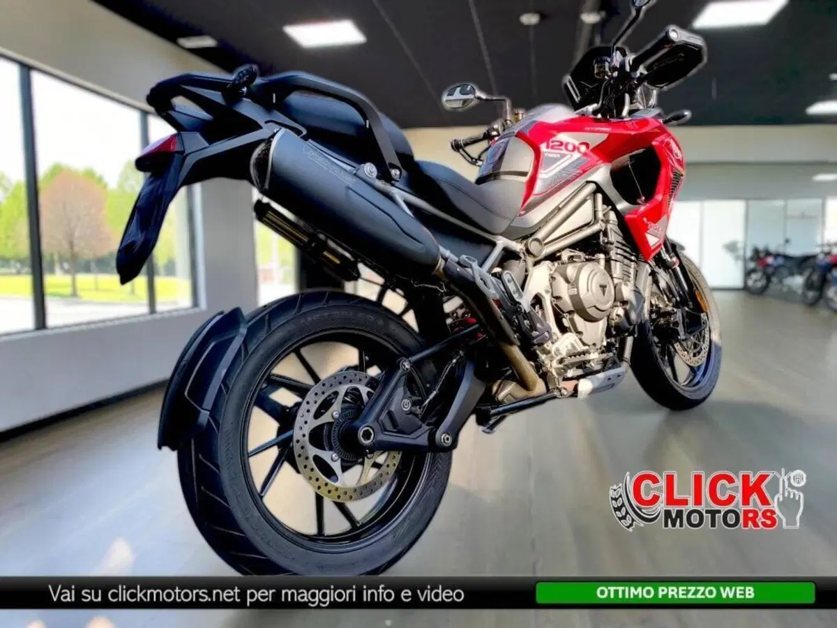 Triumph Tiger 1200 GT Pro (2024 - 26) (4)