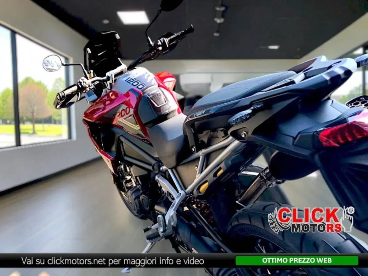 Triumph Tiger 1200 GT Pro (2024 - 26) (6)
