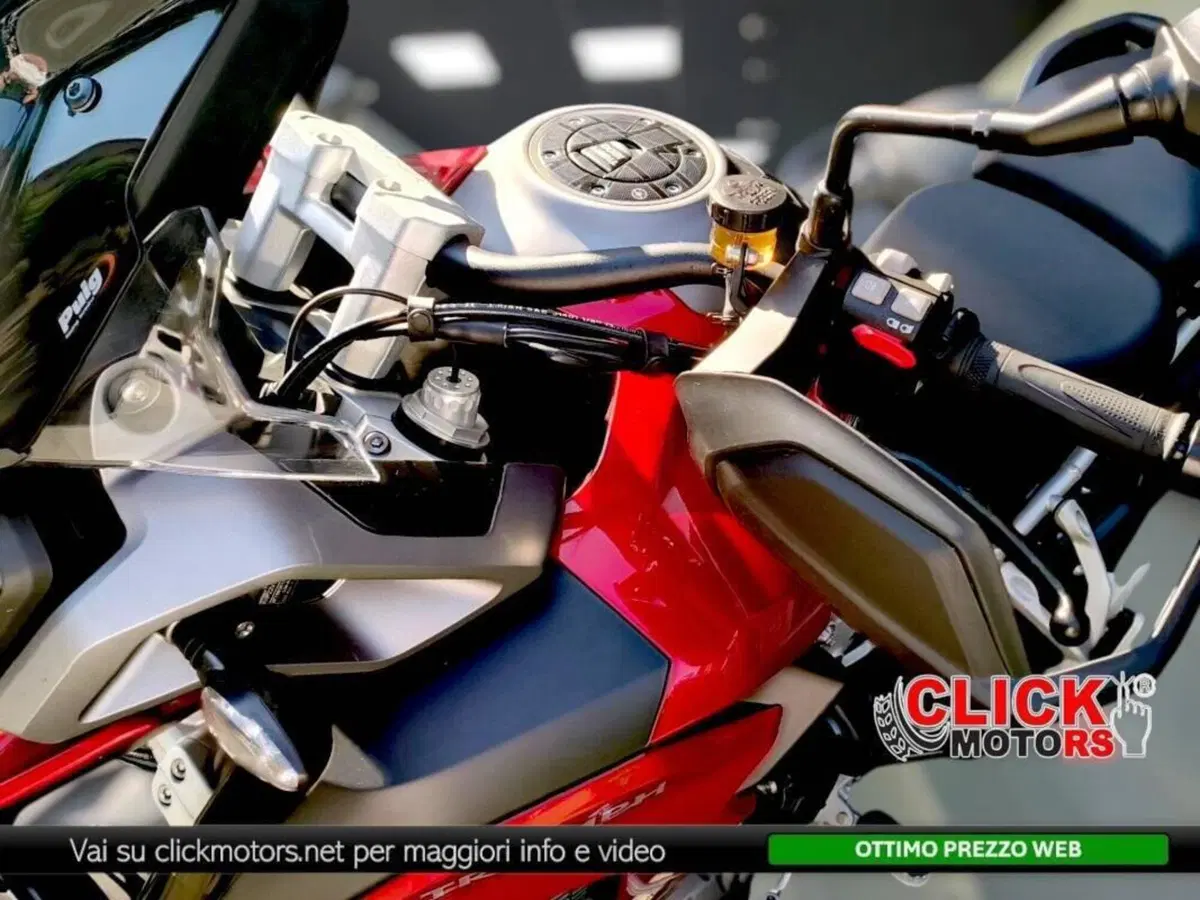 Triumph Tiger 1200 GT Pro (2024 - 26) (8)