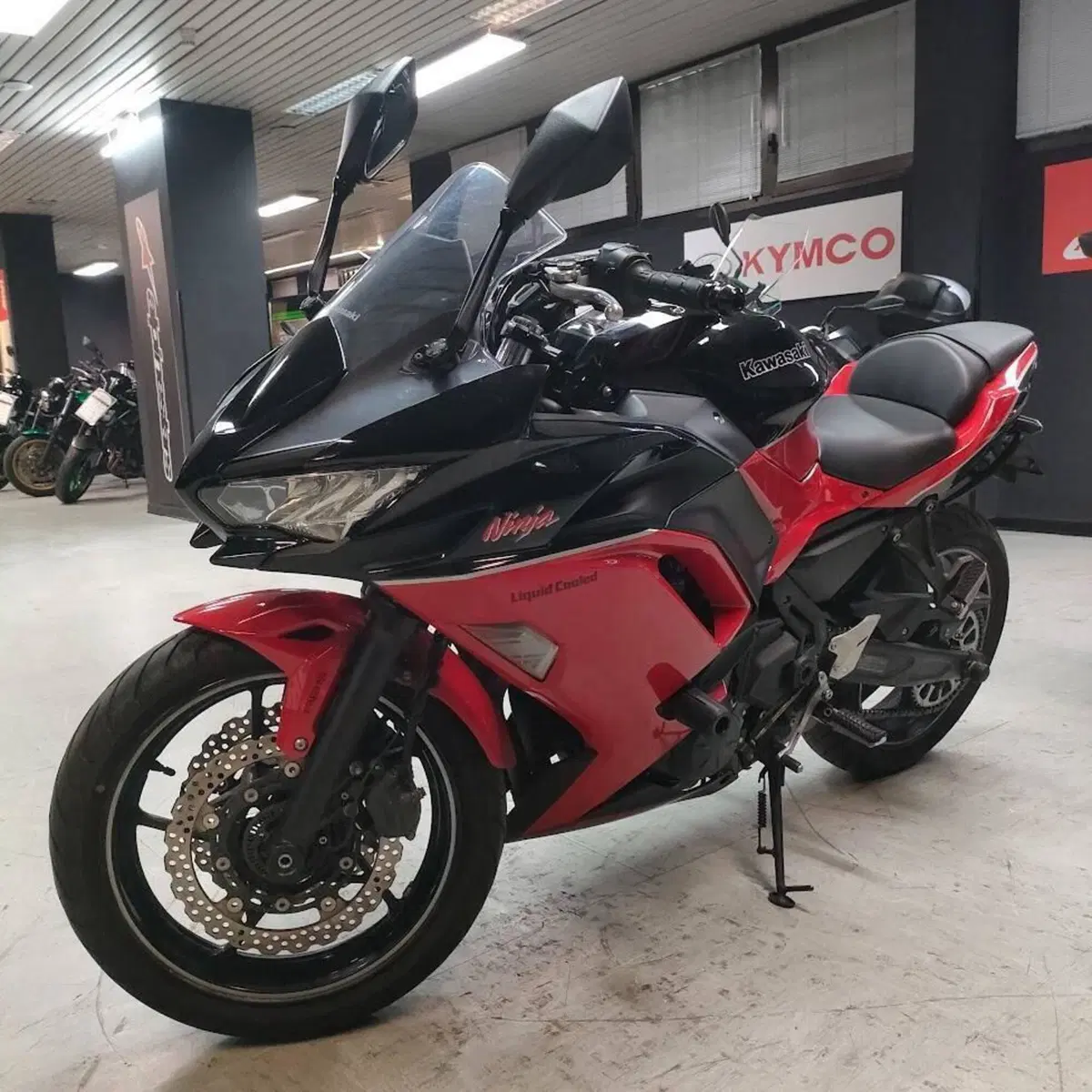 Kawasaki Ninja 650 40th Anniversary Edition (2024) (7)