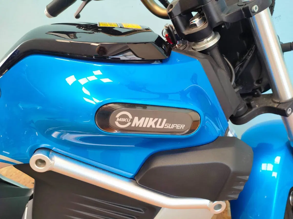 Sunra Italia Miku Super L3e (2021 - 24) (10)