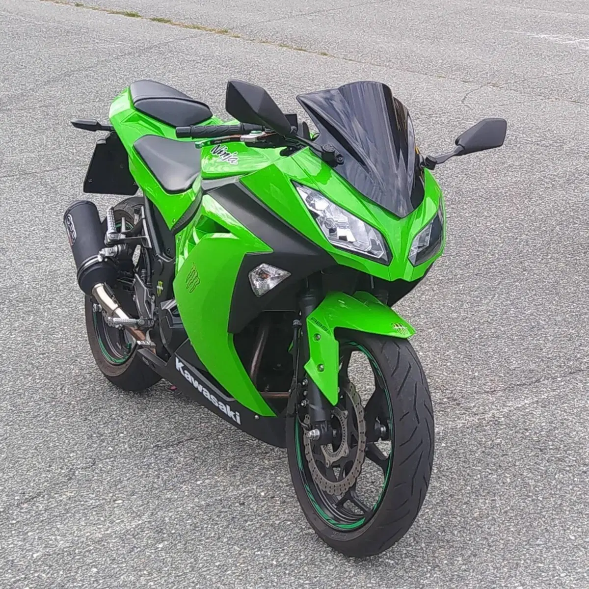 Kawasaki Ninja 300 ABS (2012 - 16) (4)