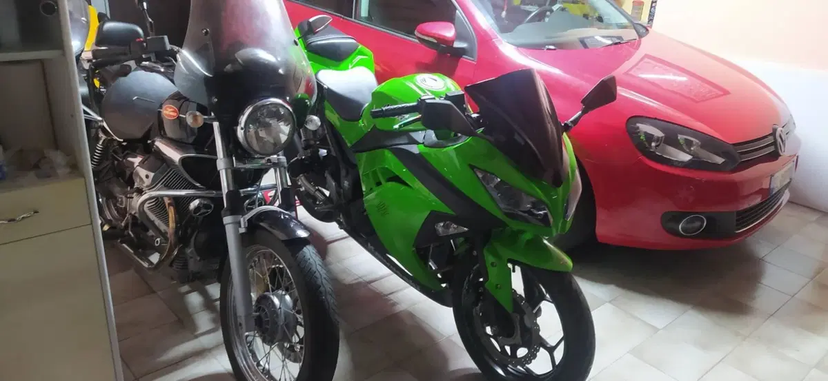 Kawasaki Ninja 300 ABS (2012 - 16) (5)