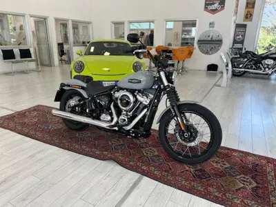 Harley-Davidson Street Bob 117 (2025 - 26) usata