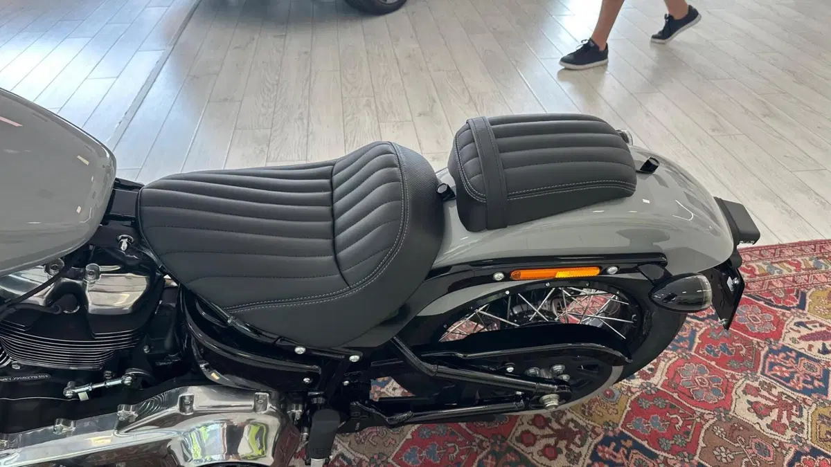 Harley-Davidson Street Bob 117 (2025 - 26) (8)
