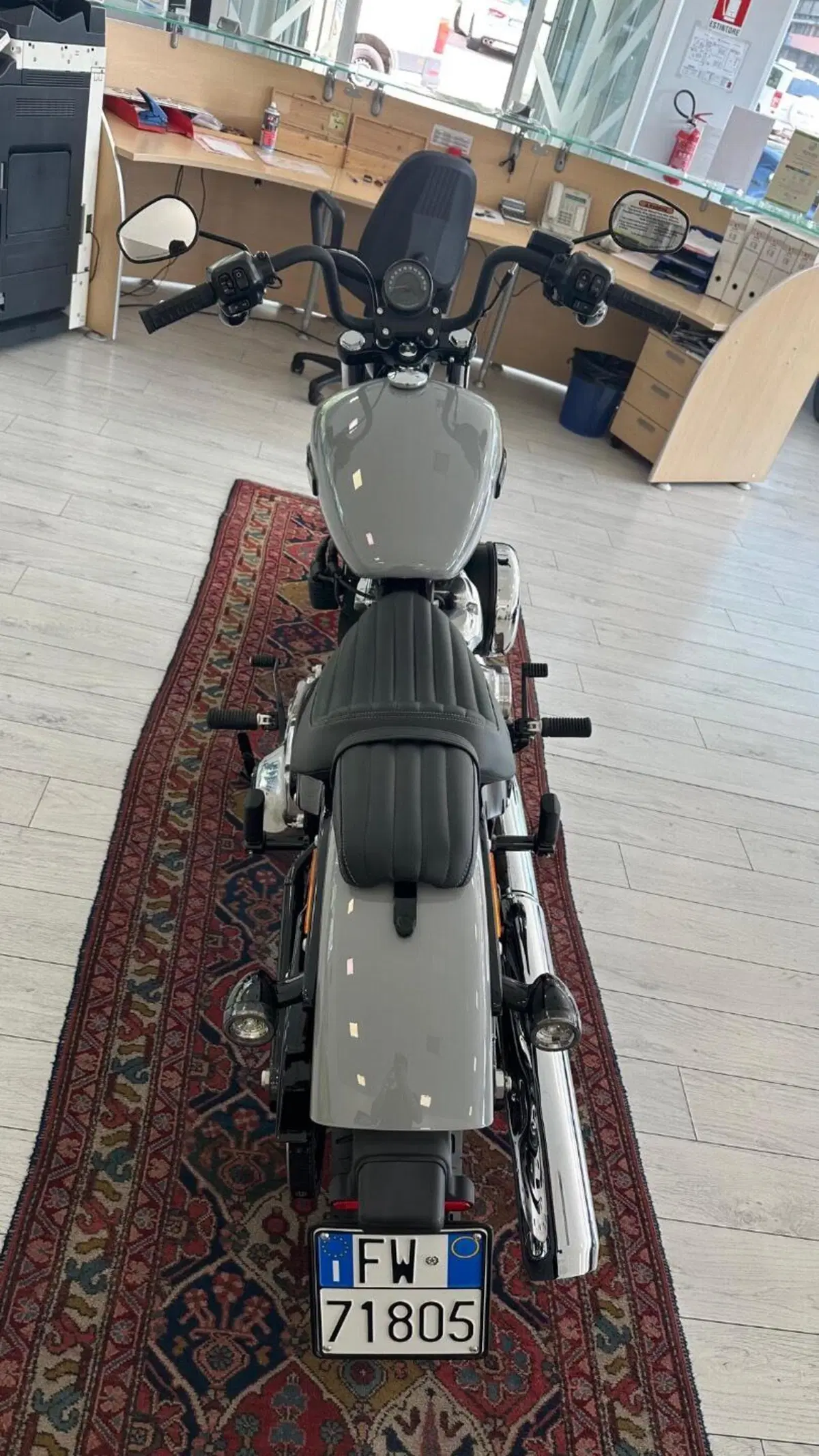 Harley-Davidson Street Bob 117 (2025 - 26) (5)