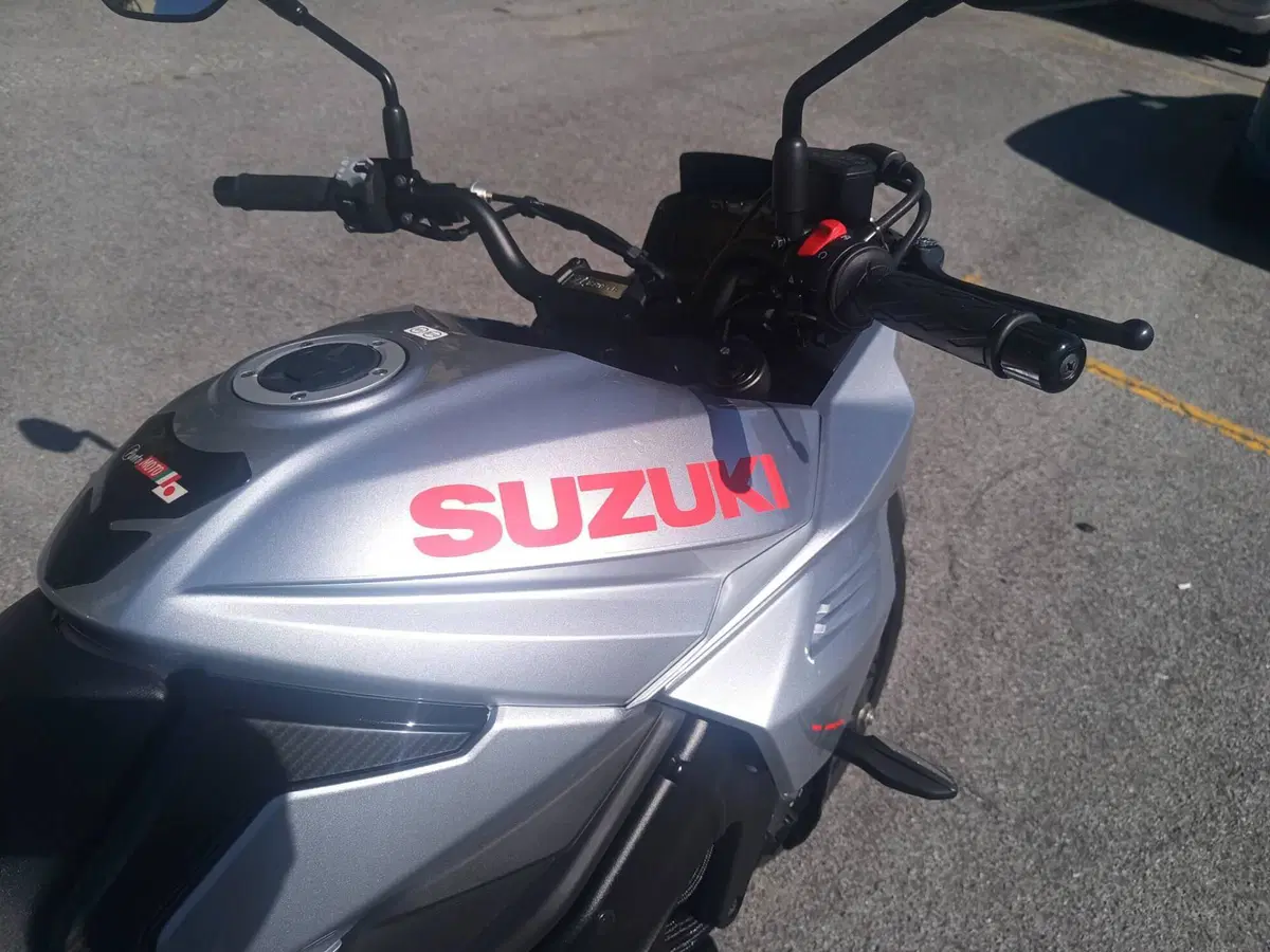 Suzuki Katana 1000 (2019 - 20) (3)