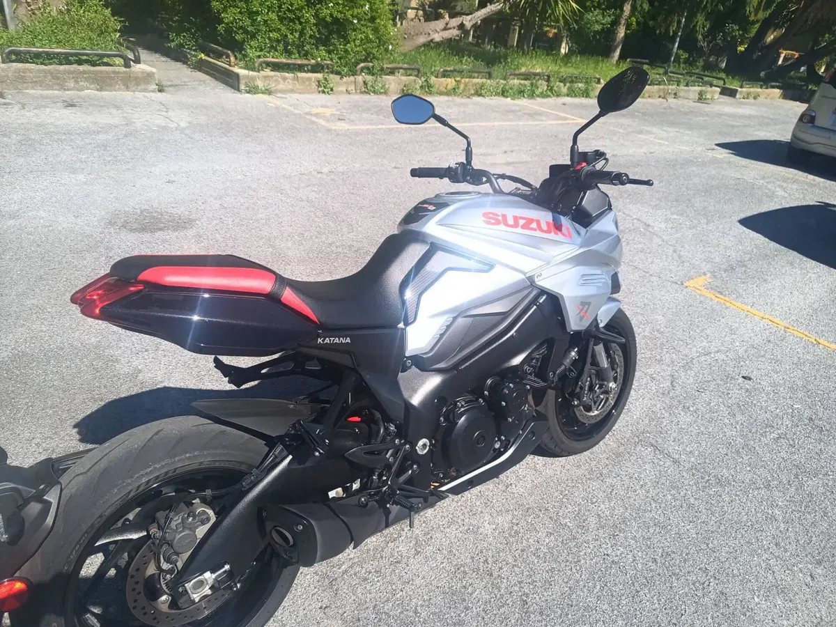 Suzuki Katana 1000 (2019 - 20) (6)