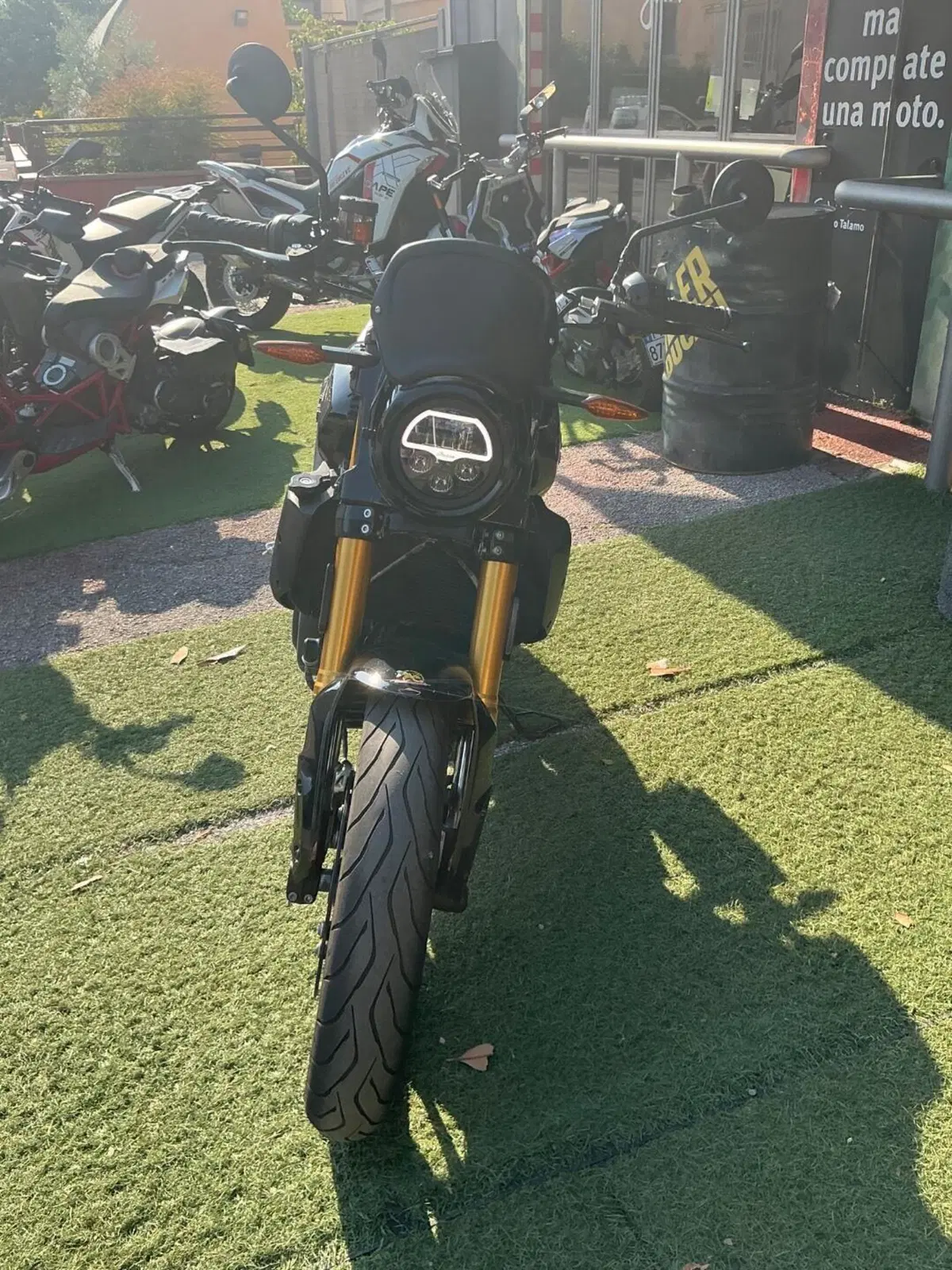 Indian FTR 1200 (2019 - 20) (7)