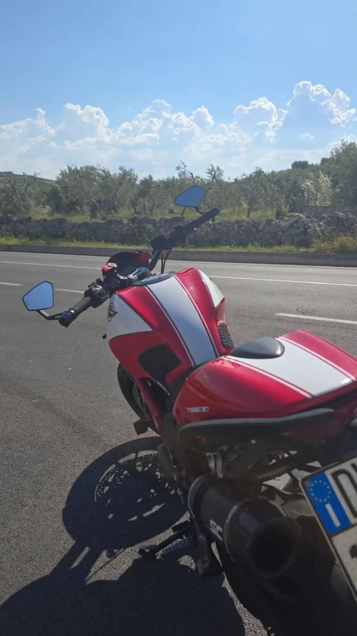 Ducati Monster 796 (2010 - 13) (7)
