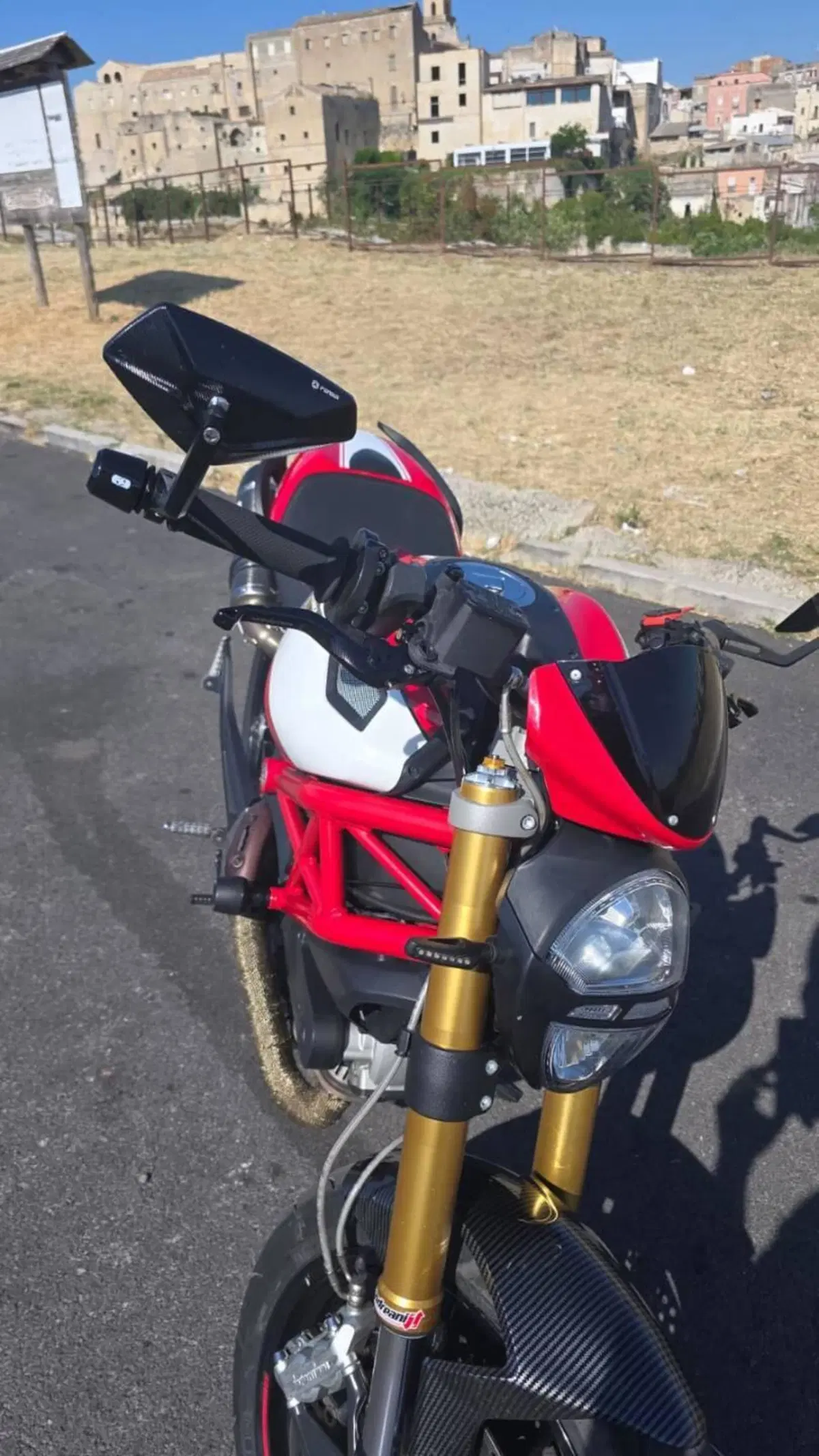 Ducati Monster 796 (2010 - 13) (8)