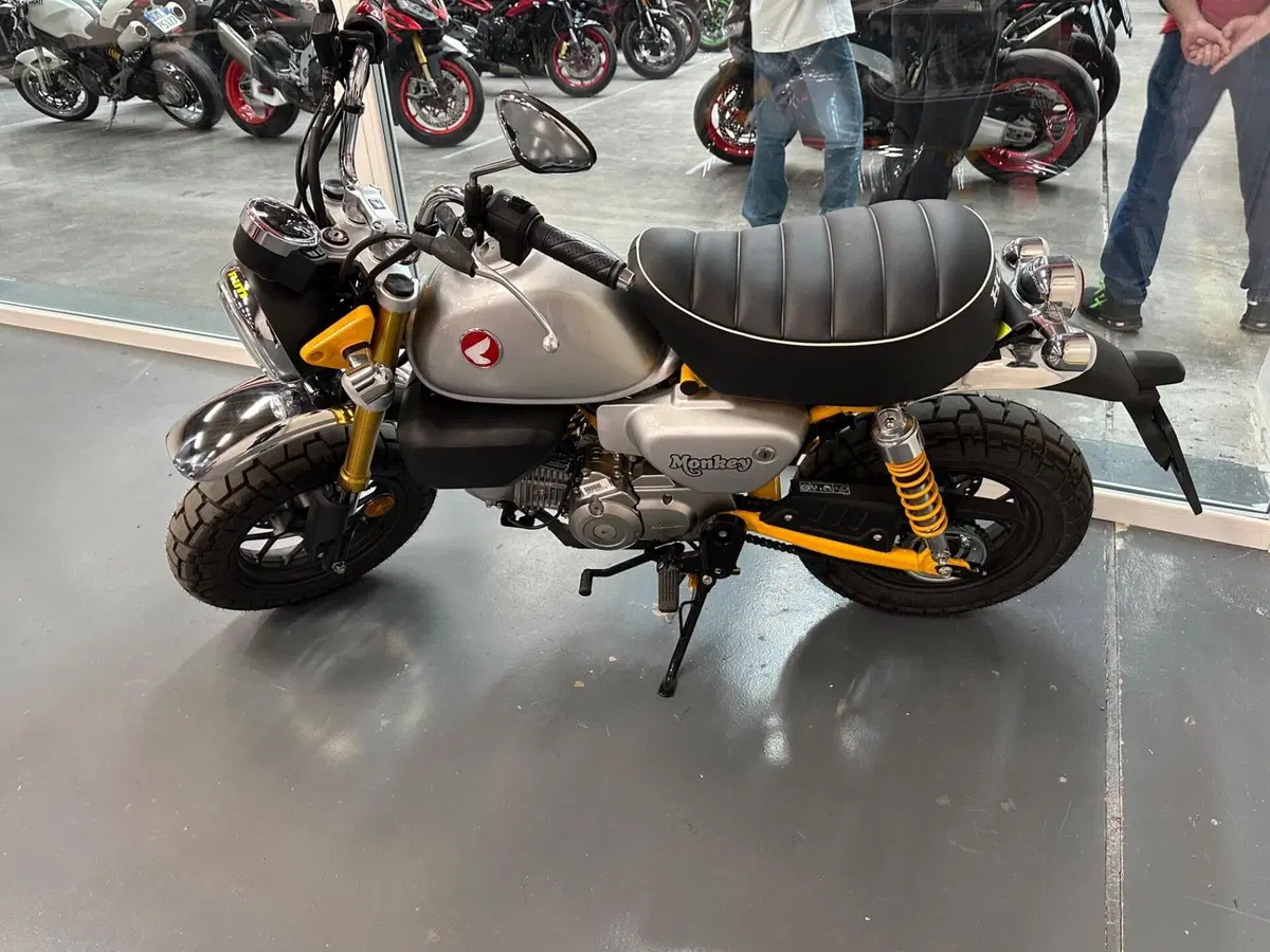 Honda Monkey 125 (2025 - 26) (5)