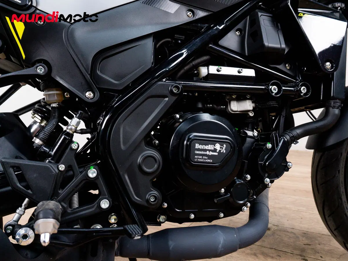 Benelli Leoncino 250 (2021 - 25) (4)