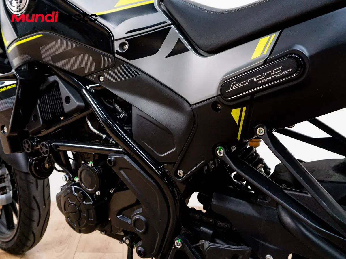 Benelli Leoncino 250 (2021 - 25) (10)
