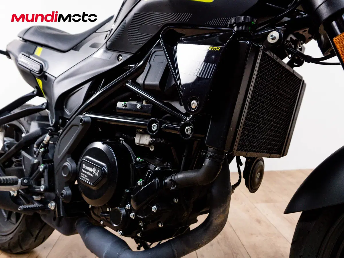 Benelli Leoncino 250 (2021 - 25) (5)