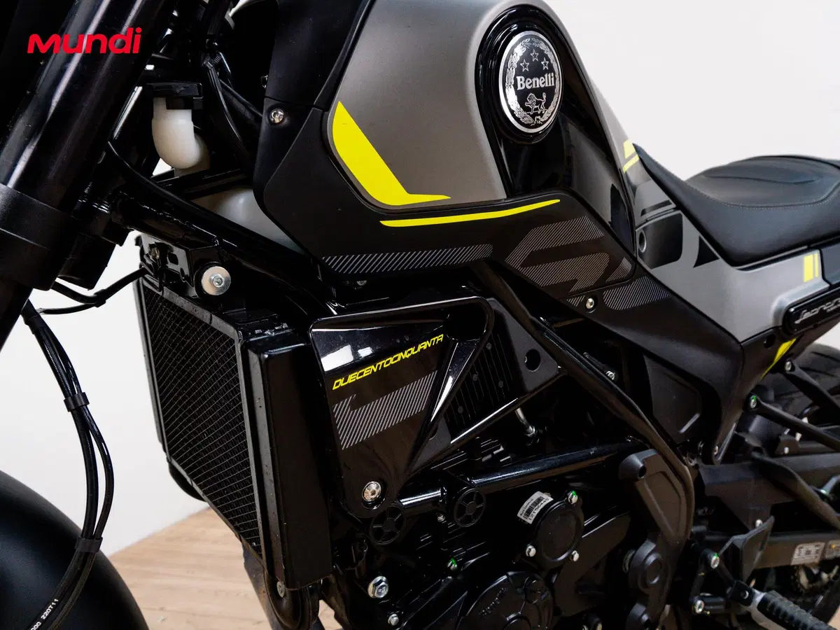 Benelli Leoncino 250 (2021 - 25) (9)
