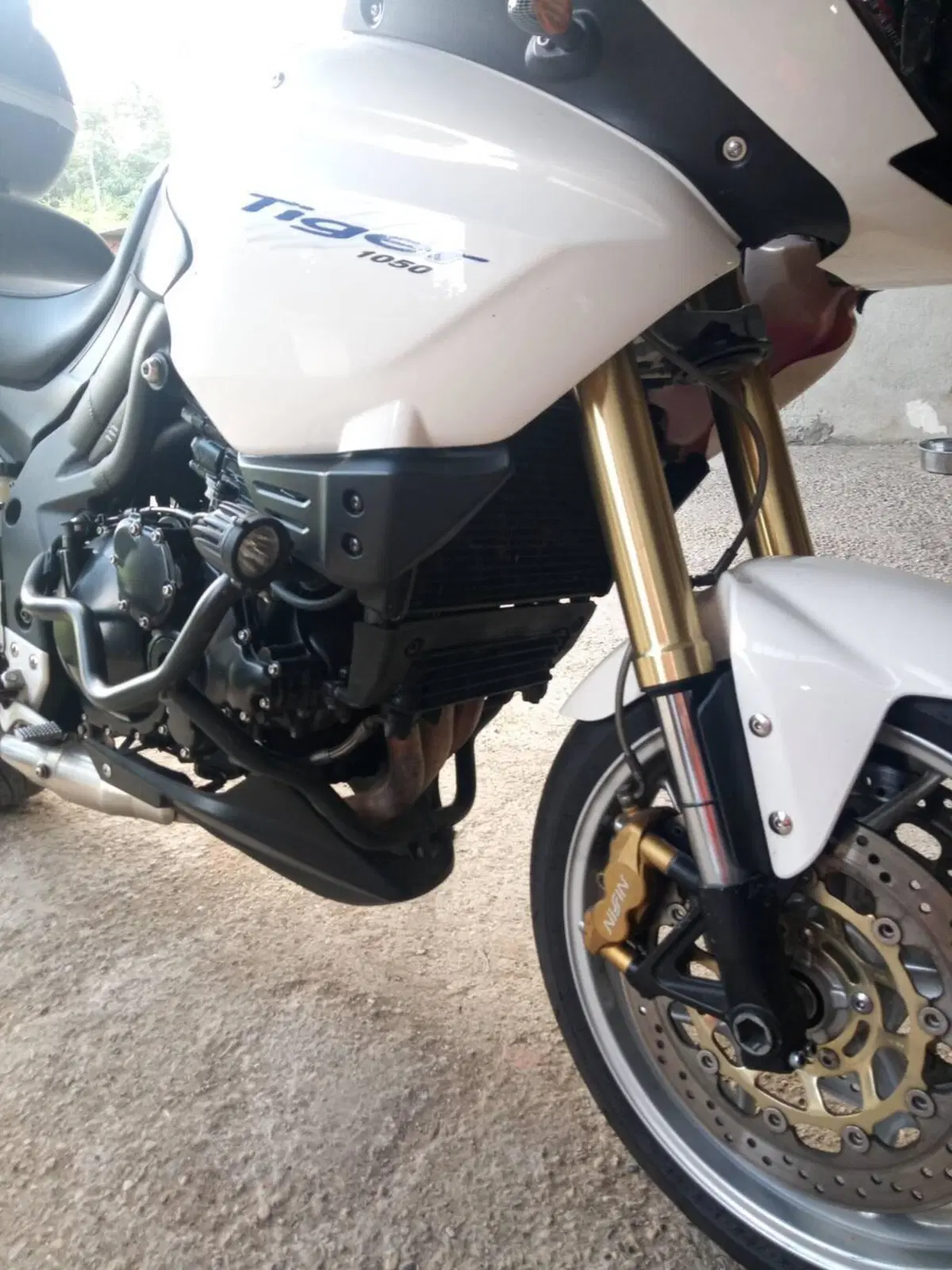 Triumph Tiger 1050 ABS (2006 - 12) (6)