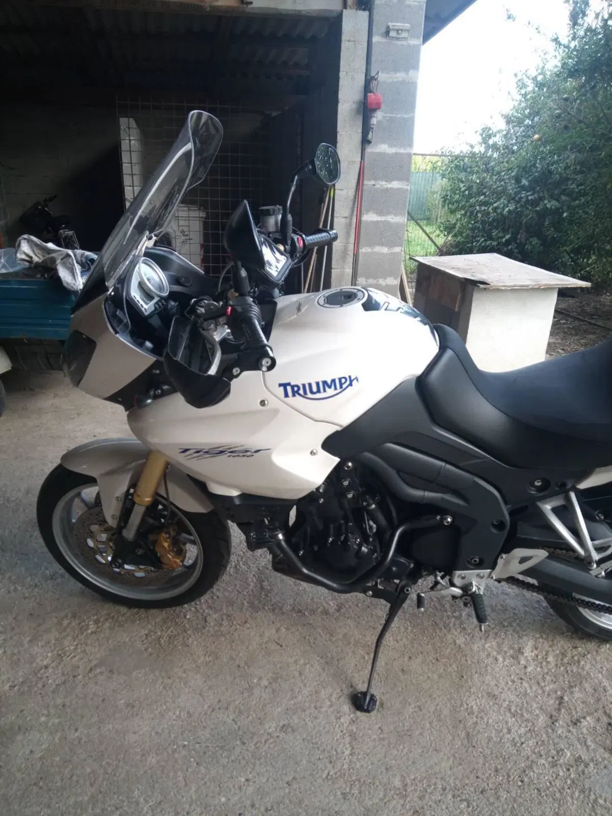 Triumph Tiger 1050 ABS (2006 - 12) (12)