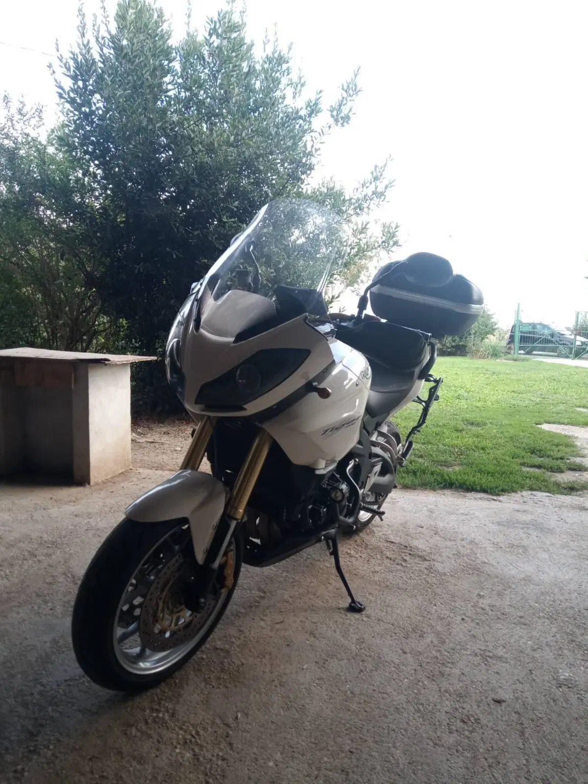 Triumph Tiger 1050 ABS (2006 - 12) (13)