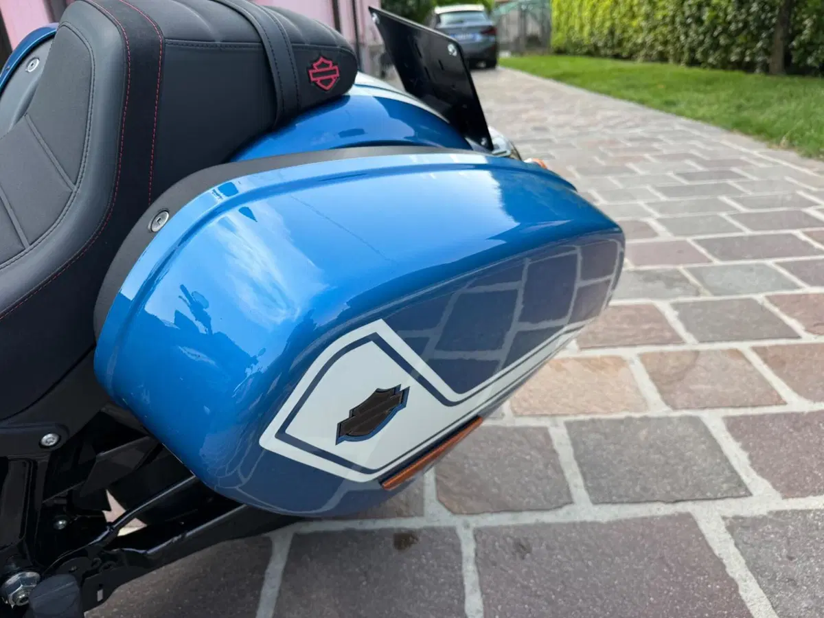 Harley-Davidson Low Rider ST Fast Johnnie Enthusiast (2023) (15)