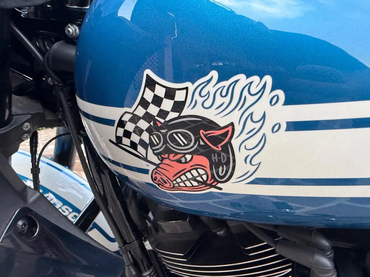 Harley-Davidson Low Rider ST Fast Johnnie Enthusiast (2023) (14)