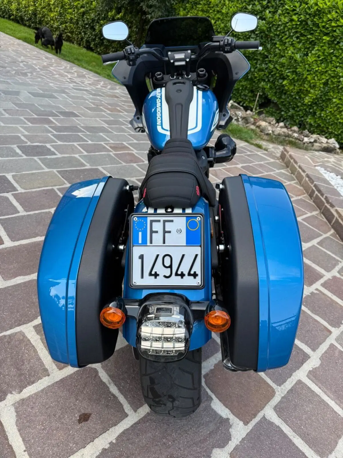 Harley-Davidson Low Rider ST Fast Johnnie Enthusiast (2023) (5)