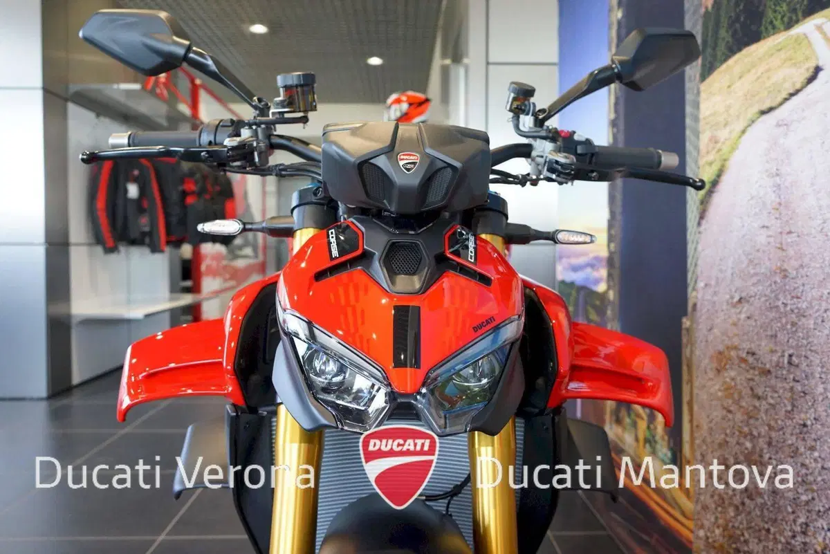 Ducati Streetfighter V4 S (2025 - 26) (15)