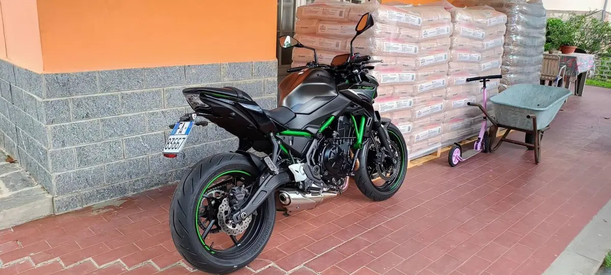 Kawasaki Z 650 (2021 - 24) (3)