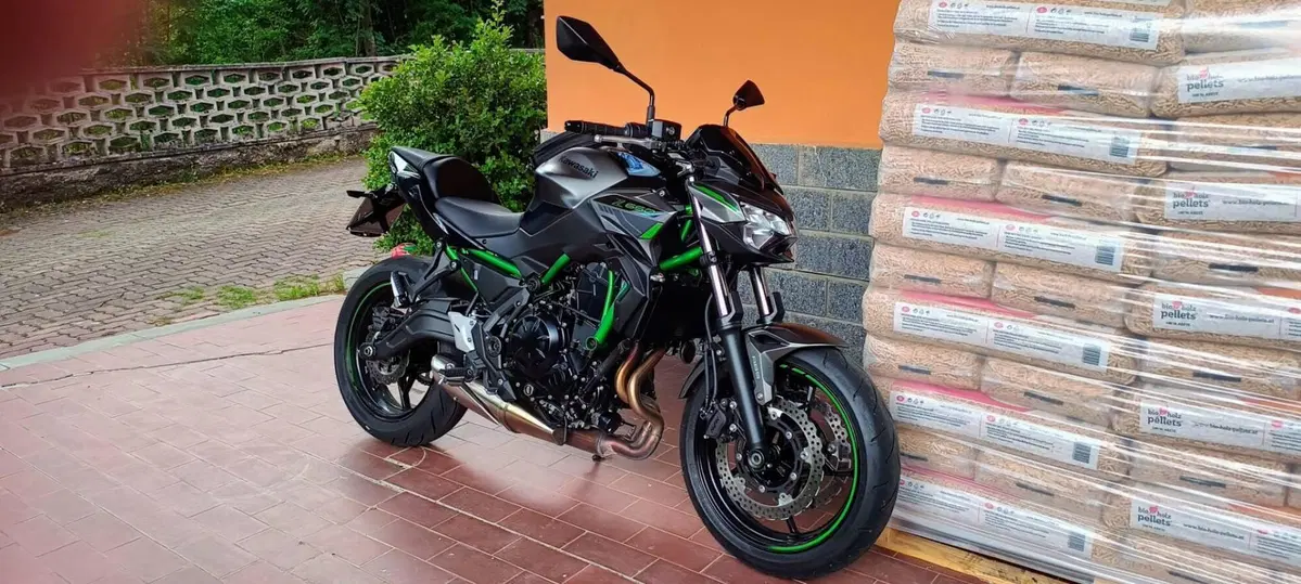 Kawasaki Z 650 (2021 - 24) (4)