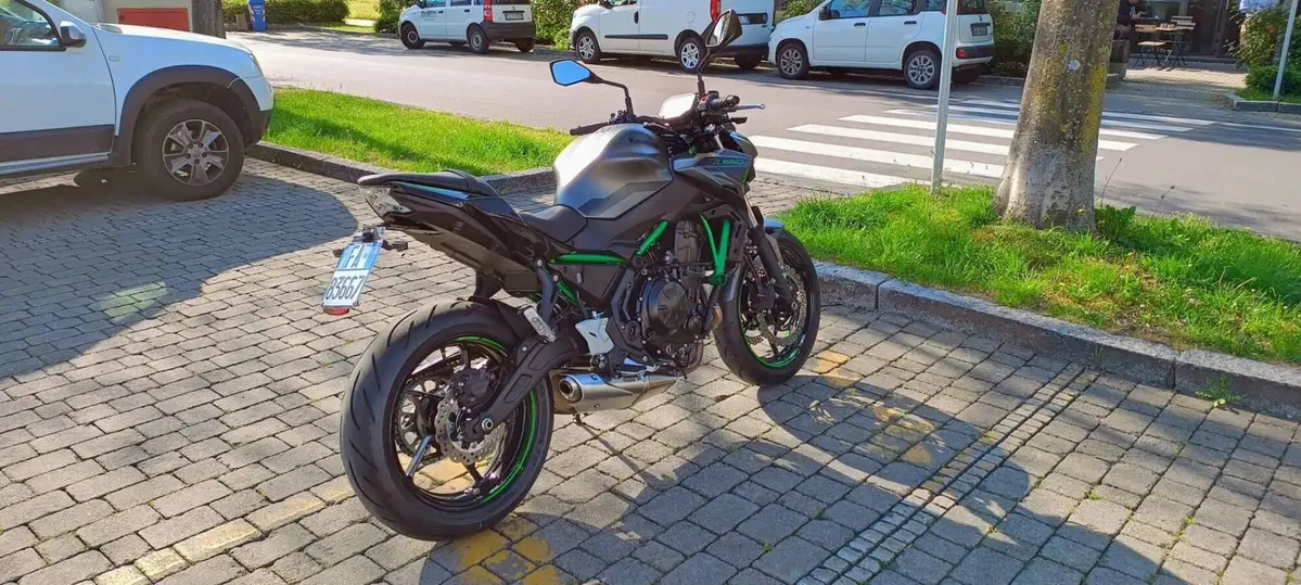 Kawasaki Z 650 (2021 - 24) (9)