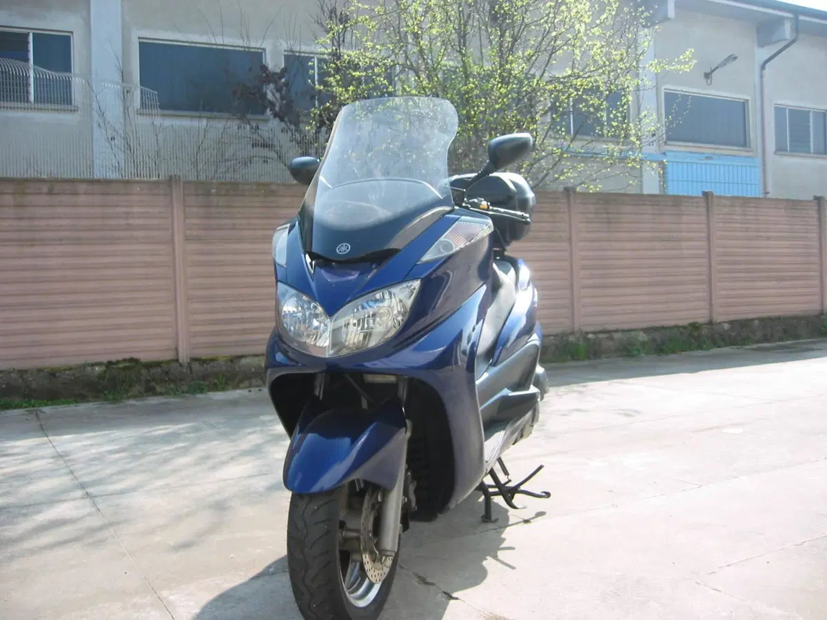 Yamaha Majesty 400 (2004 - 08) (5)