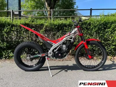 Betamotor Sincro 300 2T (2026) usata