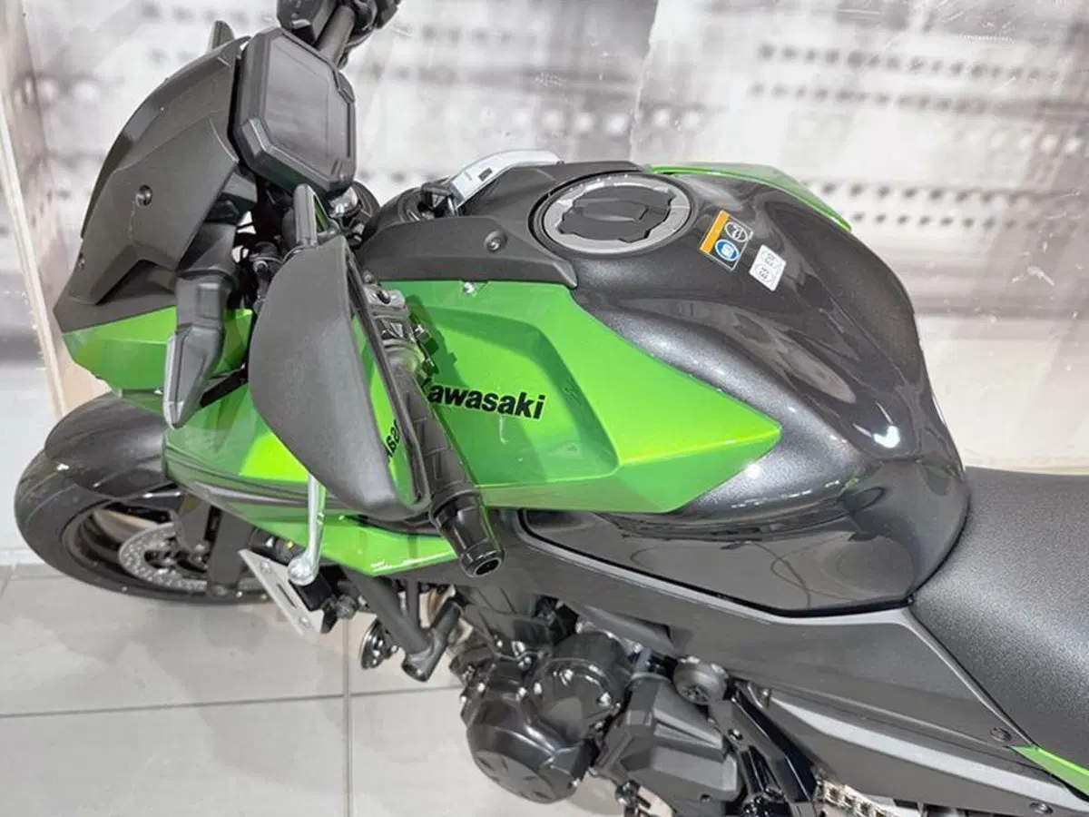 Kawasaki Z 650 S (2026) (7)