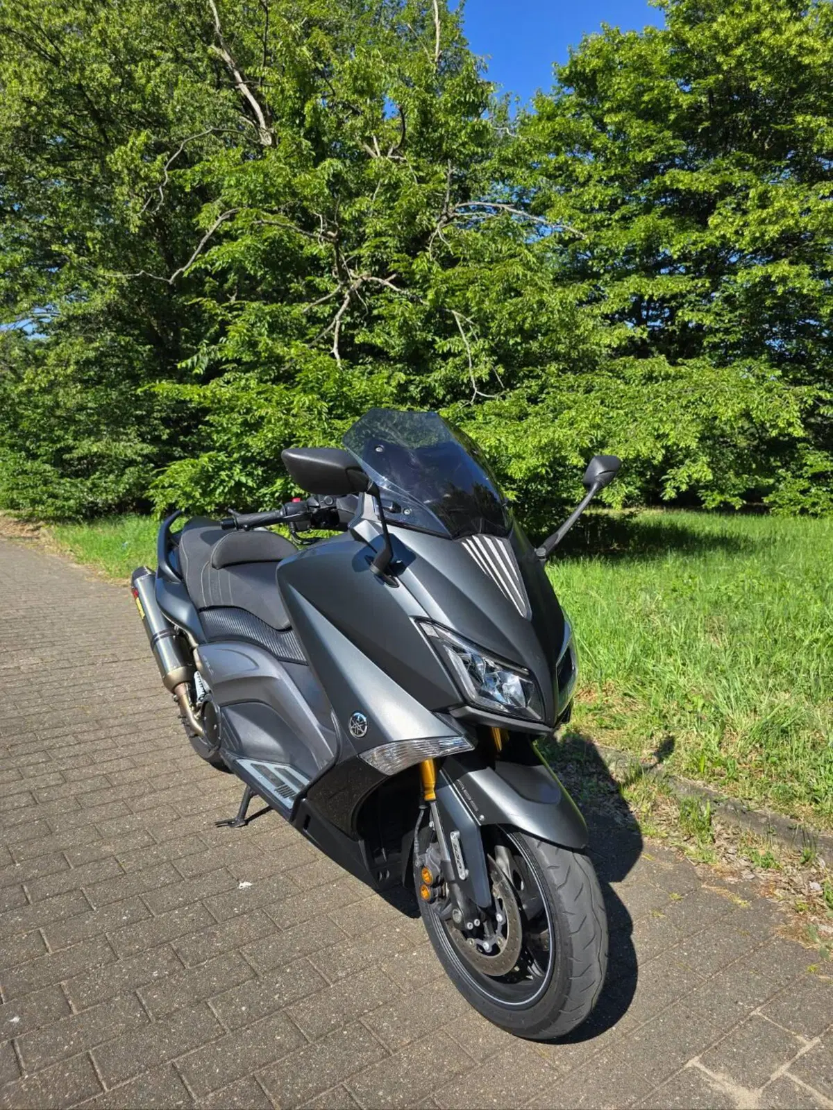 Yamaha T-Max 530 Iron Max ABS (2014 - 17) (18)